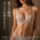 �������ˡ� CHASNEY(��������ˡ��ӥ塼�ƥ���)  WAKE UP BRA �����������åץ֥� ELENA ����� �����֥� 3/4���åץ֥饸�㡼 C2611 ��A�ۡ�����̵����