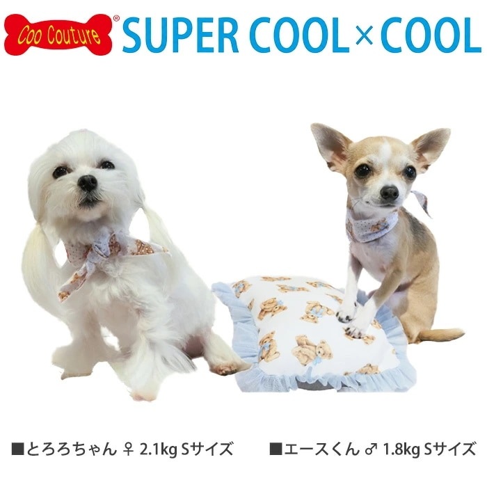 �ԥ�ӥ塼��300�ߥ����ݥ����ե����ѡ������륯���롦�ǥ��ǥ��٥��������� ������դ� �ڥå��ѥ������� ���� ������ ���������塼��  2��-3�� 7266 ��T��