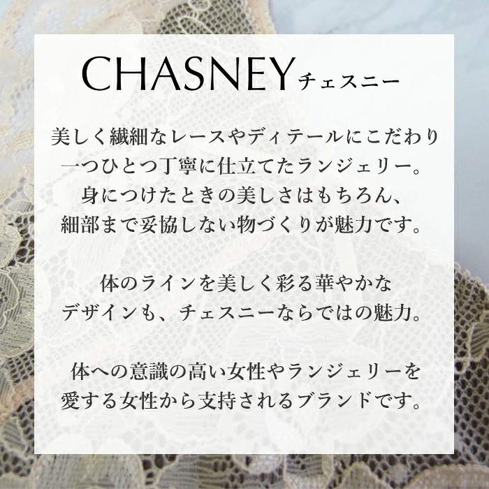�������ˡ� CHASNEY(��������ˡ��ӥ塼�ƥ���) T�Хå����硼�� ELENA �ڥ����󥬥��硼�� ���󥰥��硼�� �᡼����2���ޤ� C2619 ��A�ۡ�����̵����