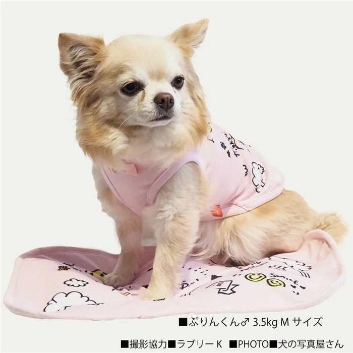 ƥ饯롦٥ȥեɥޥå L  ޥå  淿 緿 ƥإĥ  塼 7323 T̵ۡ