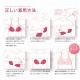 NuBra �ɤ�ʥХ��Ȥˤ��碌�䤹�������ѥ̡��֥� �ʥ�����ܥ�塼�� ë�֥ᥤ�� �̡��֥�ӡ����ץ饹2�ե��å� ��S�ۡ�����̵����