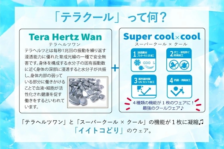 �ƥ饯���롦�ե롼�ƥ����ޥå� L������ ���ޥå� ���� �ڥåȥ����ƥ� ��ʪ  �淿�� �緿�� ���︤ ���˥��� �ѥԡ� ������ ���������塼�� 7324 ��T��