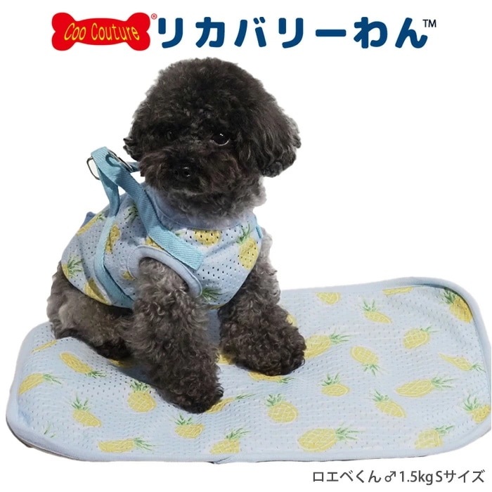 �ƥ饯���롦�ե롼�ƥ����ޥå� L������ ���ޥå� ���� �ڥåȥ����ƥ� ��ʪ  �淿�� �緿�� ���︤ ���˥��� �ѥԡ� ������ ���������塼�� 7324 ��T��