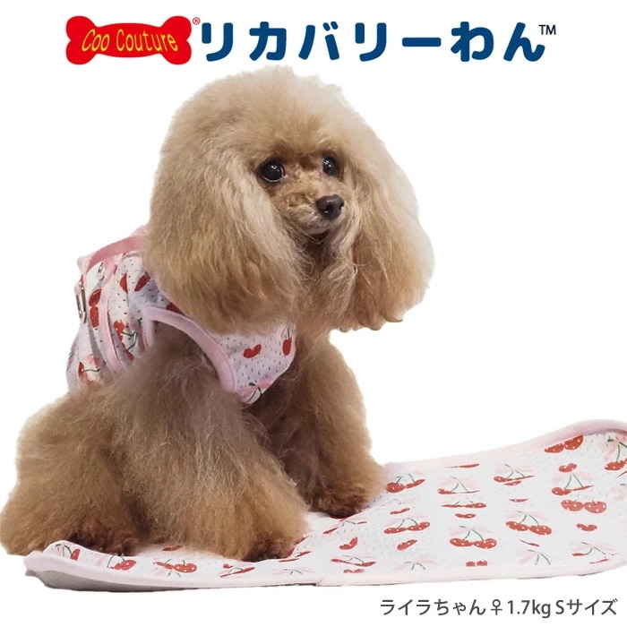 �ƥ饯���롦�ե롼�ƥ����ޥå� L������ ���ޥå� ���� �ڥåȥ����ƥ� ��ʪ  �淿�� �緿�� ���︤ ���˥��� �ѥԡ� ������ ���������塼�� 7324 ��T��