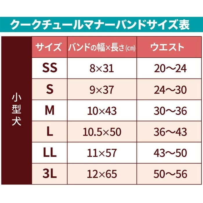 �ԥ�ӥ塼��300�ߥ����ݥ����ե����ѡ������륯���롦�ޥʡ��Х��2025 ������ ���� ������ ���󥯥ȥåײ���  ���˥��� ���������塼�� 2��-3�� 7328 ��T��