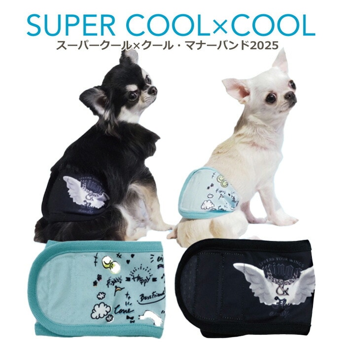 �ԥ�ӥ塼��300�ߥ����ݥ����ե����ѡ������륯���롦�ޥʡ��Х��2025 ������ ���� ������ ���󥯥ȥåײ���  ���˥��� ���������塼�� 2��-3�� 7328 ��T��