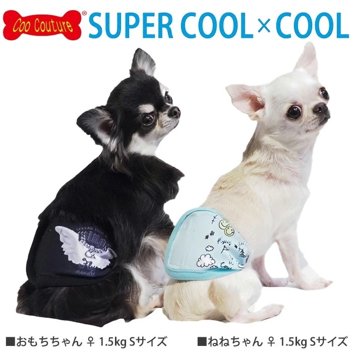 �ԥ�ӥ塼��300�ߥ����ݥ����ե����ѡ������륯���롦�ޥʡ��Х��2025 ������ ���� ������ ���󥯥ȥåײ���  ���˥��� ���������塼�� 2��-3�� 7328 ��T��