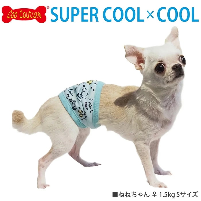 �ԥ�ӥ塼��300�ߥ����ݥ����ե����ѡ������륯���롦�ޥʡ��Х��2025 ������ ���� ������ ���󥯥ȥåײ���  ���˥��� ���������塼�� 2��-3�� 7328 ��T��