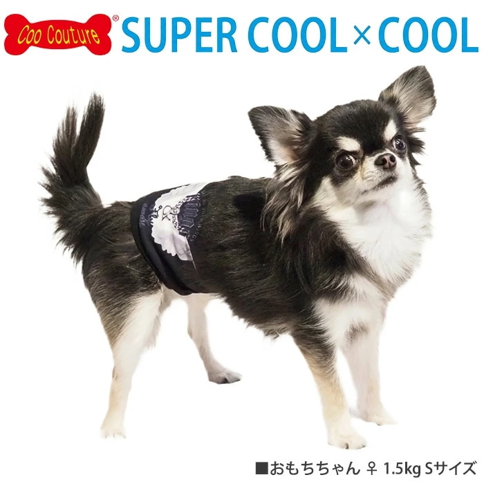 �ԥ�ӥ塼��300�ߥ����ݥ����ե����ѡ������륯���롦�ޥʡ��Х��2025 ������ ���� ������ ���󥯥ȥåײ���  ���˥��� ���������塼�� 2��-3�� 7328 ��T��