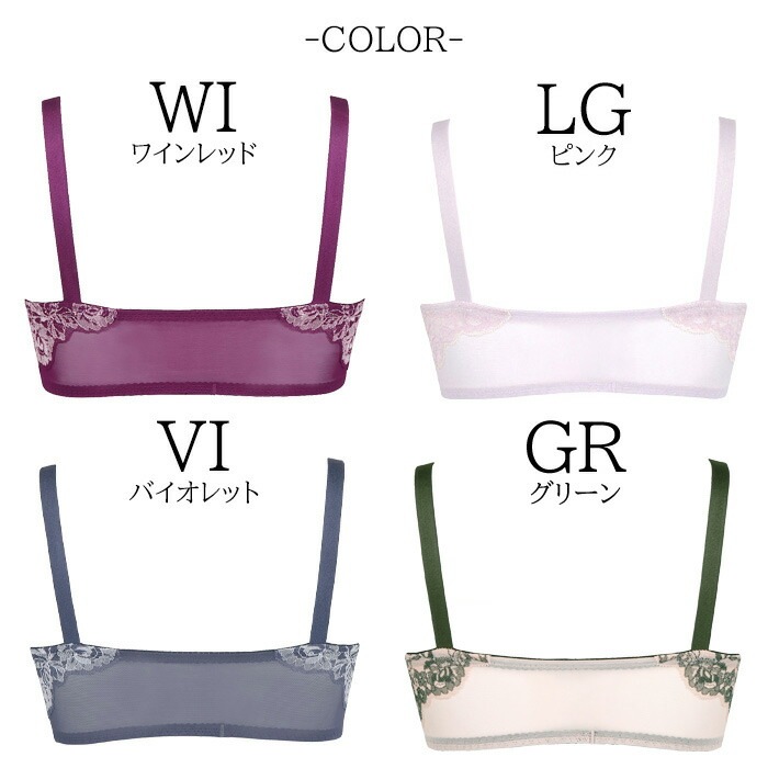 salute サルート　ナイトアップブラ　20G　20グループ　WI L 20group_collection.jpg