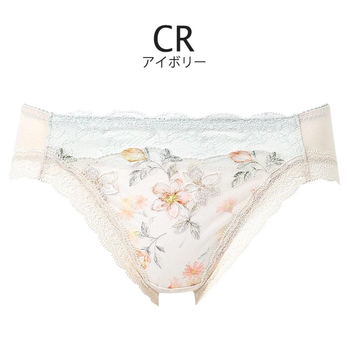�拾���� ���硼�� ������������֥� ��ǥ����� ���� �졼�� ���� ���襤�� ���� ������ wacoal LL������ �᡼����3���ޤ� PRA153 ��P��