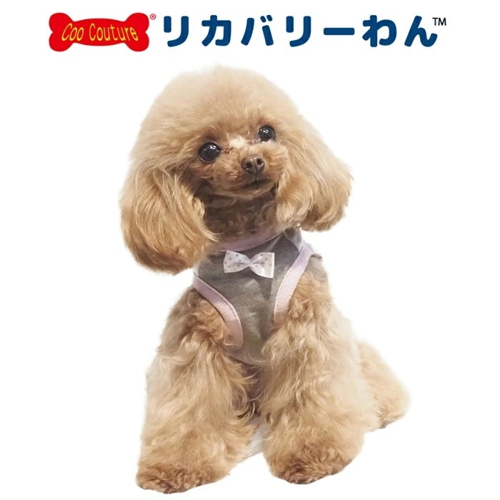 �ƥ饯���롦���ߥ��٥����� ������˭�� ���� ���󥯥ȥå� �ڥåȥ����� ���� ������ ƹĹ������ ���˥��� ������ ���������塼�� 1��-2�� 12468 ��T��