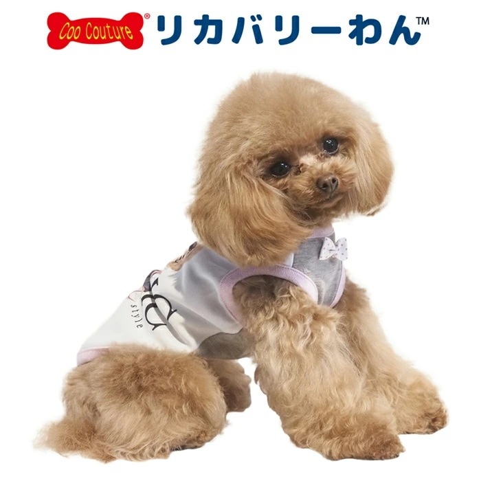 �ƥ饯���롦���ߥ��٥����� ������˭�� ���� ���󥯥ȥå� �ڥåȥ����� ���� ������ ƹĹ������ ���˥��� ������ ���������塼�� 1��-2�� 12468 ��T��