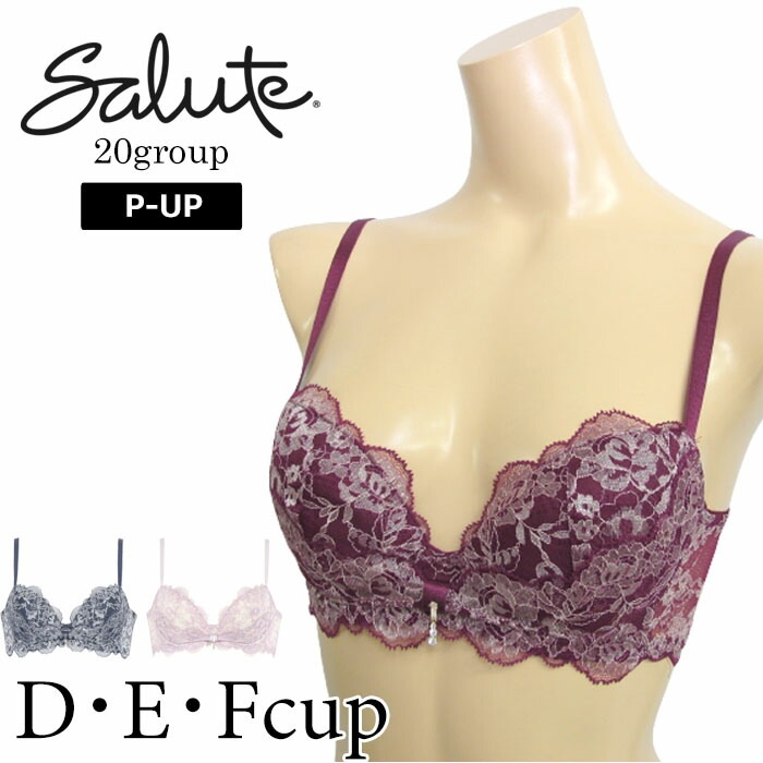 ワコール Wacoal サルート (Dカップ・Eカップ・Fカップ) 20グループ