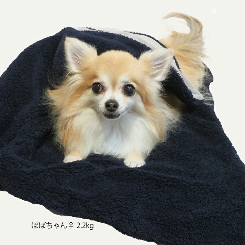 専用⭐みかん❤暖か＊モチふわん❤超優秀…Ｗボア★特大ブランケット⭐犬 リカバリーわん（テラヘルツワン）ボアブランケット 犬ブランケット