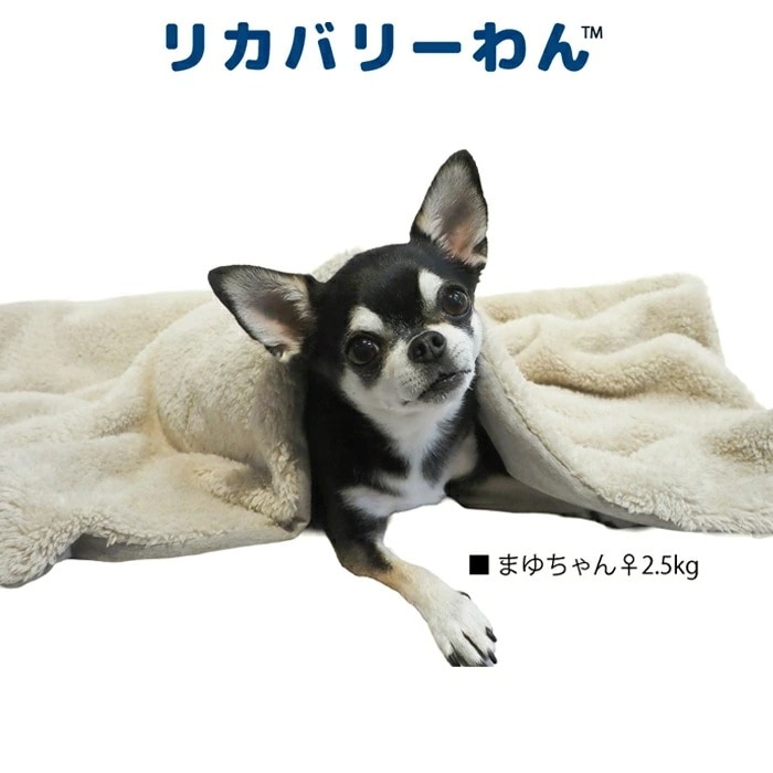 リカバリーわん（テラヘルツワン）ボアブランケット 犬ブランケット