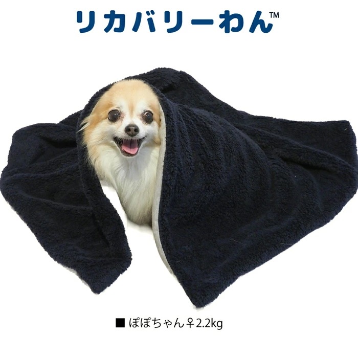 リカバリーわん（テラヘルツワン）ボアブランケット 犬ブランケット