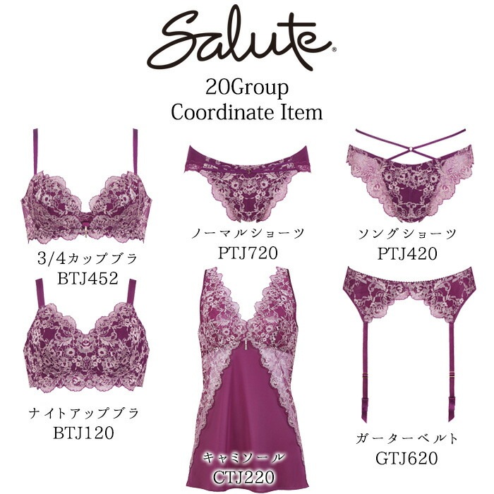 ワコール Wacoal サルート (Mサイズ Lサイズ)20グループ 定番