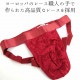 cosabella ���硼�ĥ����٥� COSABELLA ��� ���졼�� ����å����ȥ�å� jockstrap �ѥ�� ������ ����ݡ��� ���� �졼���ѥ�ĥХ�󥿥��� �᡼����3���ޤ� NEVER0491-MEN ��K��
