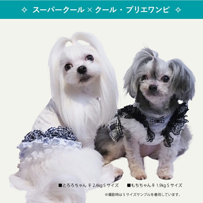 ԥӥ塼300ߥݥեѡߥ롦ץꥨԸ  ԡ ڥåȥ  淿 ˥ ᡼1ޤ 1-2 12414 T̵ۡ