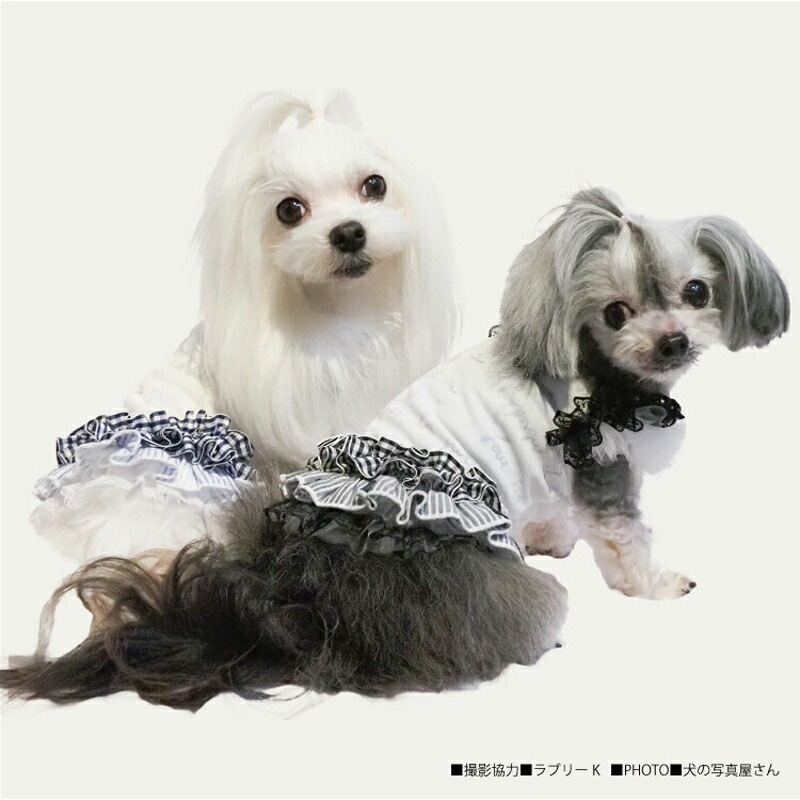 ԥӥ塼300ߥݥեѡߥ롦ץꥨԸ  ԡ ڥåȥ  淿 ˥ ᡼1ޤ 1-2 12414 T̵ۡ