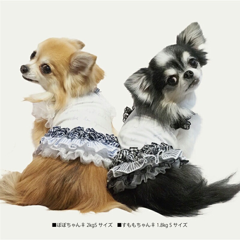 ԥӥ塼300ߥݥեѡߥ롦ץꥨԸ  ԡ ڥåȥ  淿 ˥ ᡼1ޤ 1-2 12414 T̵ۡ