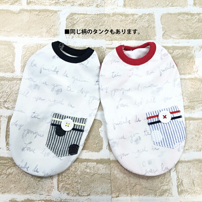 ԥӥ塼300ߥݥեѡߥ롦ץꥨԸ  ԡ ڥåȥ  淿 ˥ ᡼1ޤ 1-2 12414 T̵ۡ