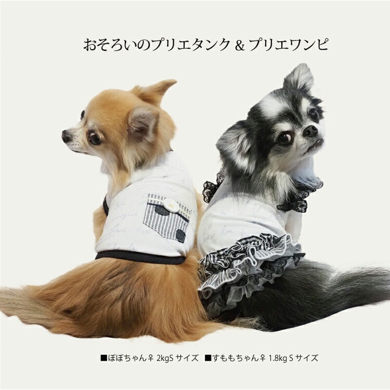 ԥӥ塼300ߥݥեѡߥ롦ץꥨԸ  ԡ ڥåȥ  淿 ˥ ᡼1ޤ 1-2 12414 T̵ۡ