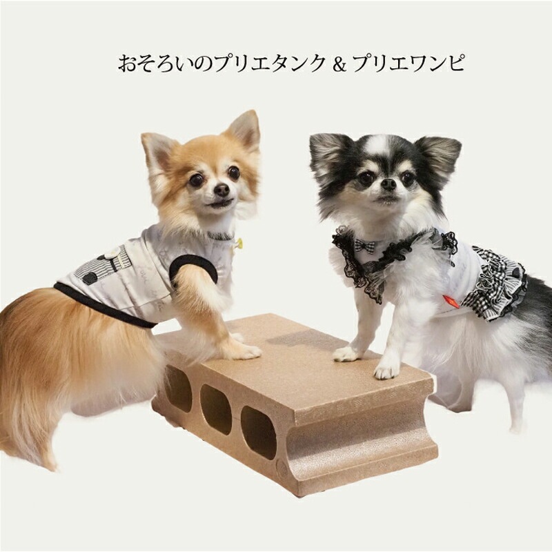 ԥӥ塼300ߥݥեѡߥ롦ץꥨԸ  ԡ ڥåȥ  淿 ˥ ᡼1ޤ 1-2 12414 T̵ۡ