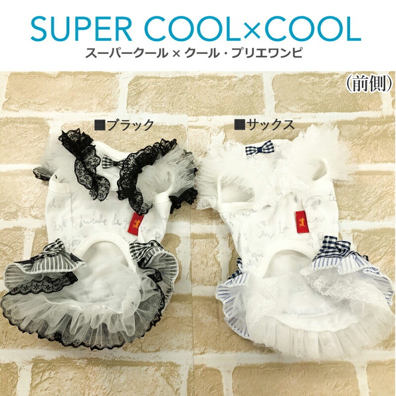 ԥӥ塼300ߥݥեѡߥ롦ץꥨԸ  ԡ ڥåȥ  淿 ˥ ᡼1ޤ 1-2 12414 T̵ۡ