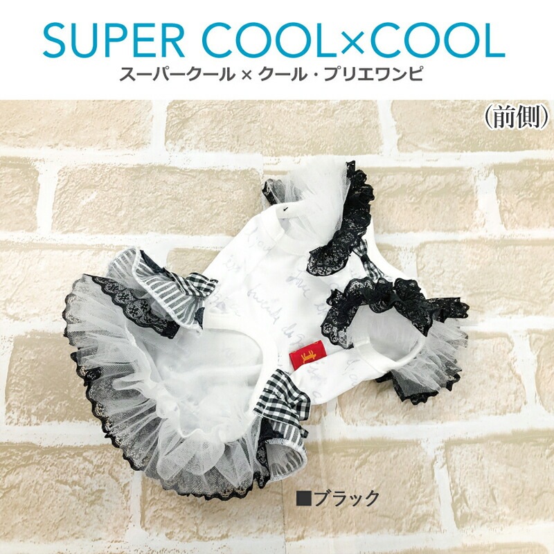 ԥӥ塼300ߥݥեѡߥ롦ץꥨԸ  ԡ ڥåȥ  淿 ˥ ᡼1ޤ 1-2 12414 T̵ۡ