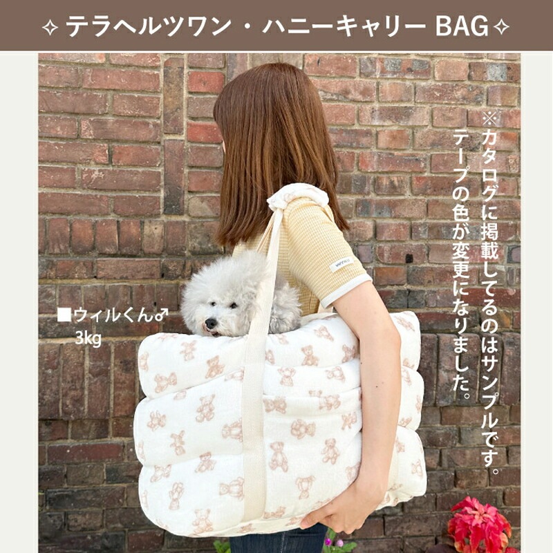 レビューで300円クーポン進呈》テラヘルツワン・ハニーキャリー