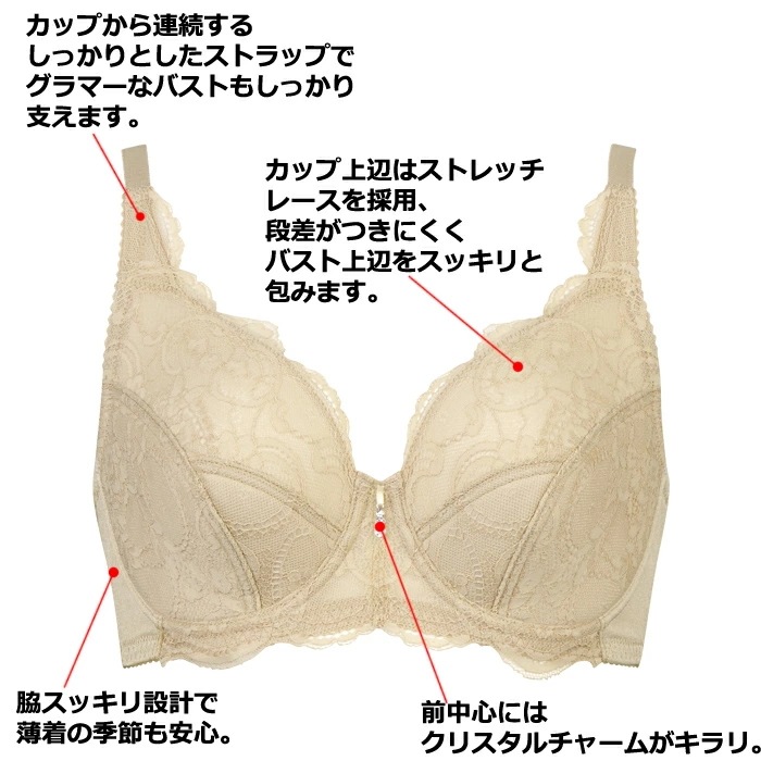 �拾���� Wacoal ���롼�� 00���롼�� (G���å� H���å� I���å�)�ե륫�åץ֥饸�㡼 �礭�������� BTJ300 ��P��