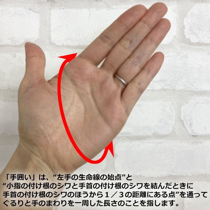 拾 Wacoal CW-X طĤä ǥ ѥ CWX  ä ΢ ݲ ۥå ᡼1ޤ HYY550 F