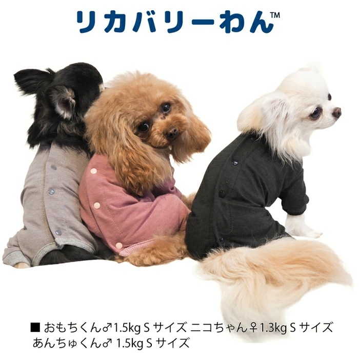 リカバリーわん（テラヘルツワン）背中開きパジャマ (3色)ペット介護