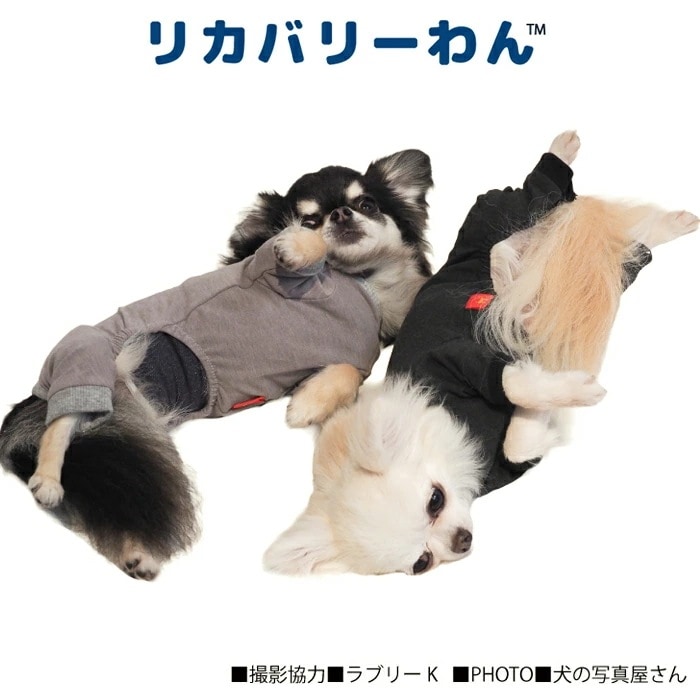 リカバリーわん（テラヘルツワン）背中開きパジャマ (3色)ペット介護