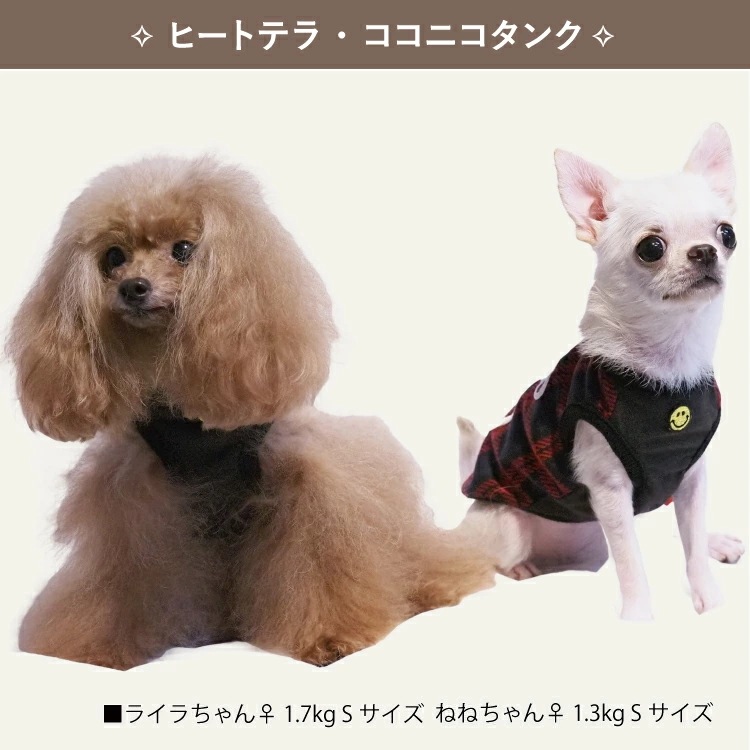 ҡȥƥ顦˥˥ 12455 [] [SS3L/FBM/FBL] 󥯥ȥå    塼 12455 T̵ۡ