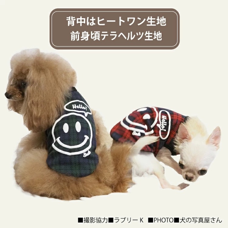 ҡȥƥ顦˥˥ 12455 [] [SS3L/FBM/FBL] 󥯥ȥå    塼 12455 T̵ۡ