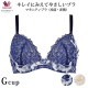 �拾���� Wacoal �ޥ��˥ƥ� ���� ���� ���ѥ֥� ���쥤�ˤߤ��Ƥ䤵�����֥� �磻�䡼������ 3/4���å� ��G���å�) MBY563 ��P��