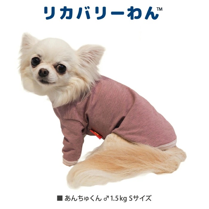 リカバリーわん（テラヘルツワン） 長袖Tシャツ (3色)ペット介護 犬用