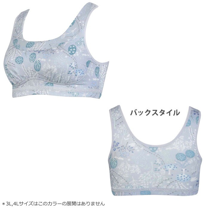 ワコール　グラッピー　3点セット chk190_kouzou4.jpg