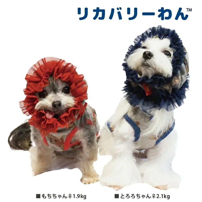 リカバリーわん（テラヘルツワン）テラベアスヌード用品 犬用 ベア総柄