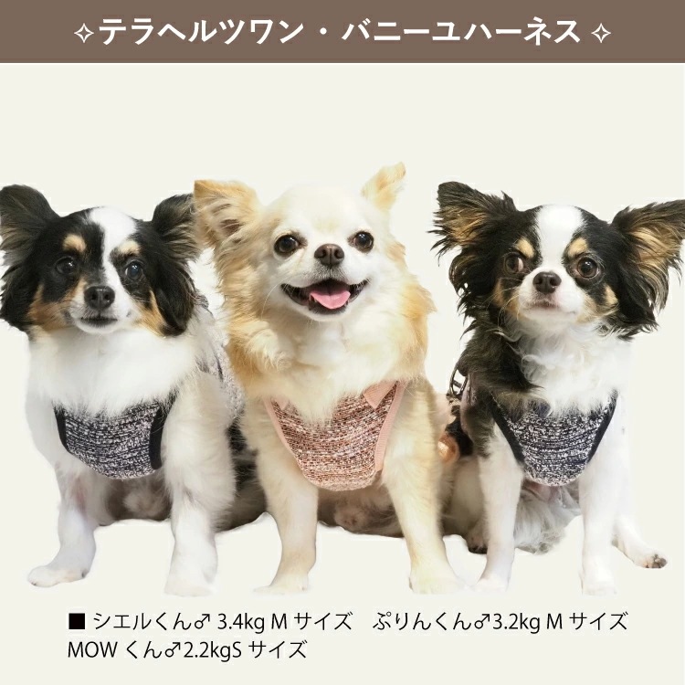 ペット服80着ハーネス18個他 ペット服80着ハーネス18個他