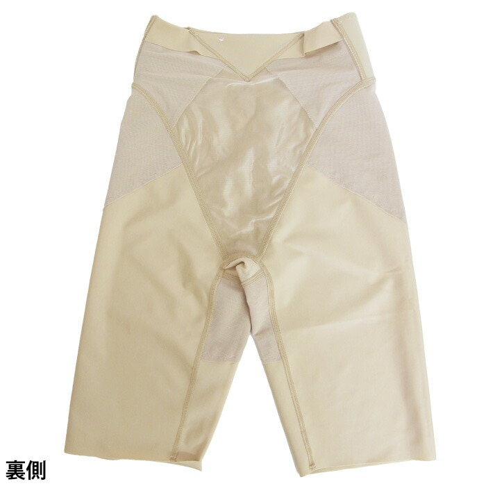 �ִ־������Ӥ�ᥤ�������ɥ�拾���� Wacoal Ever Chic ���С����å� �����ɥ� (64 70 76������) ���󥰥����ɥ� �������� 5ʬ�� 2��-3�� GRC639 ��P��