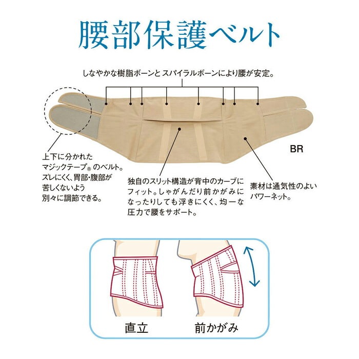 ワコール Wacoal らくらくパートナー腰部保護ベルト(男女兼用) サイズ