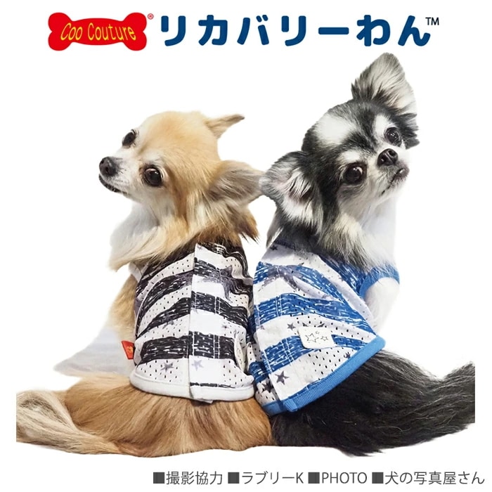 �ƥ饯���롦�ܡ������������٥륯������ ������ ���� ���󥯥ȥåײ��� ������ ���˥��� ������ ���������塼�� �ꥫ�Х꡼������ 1��-2�� 12482 ��T��