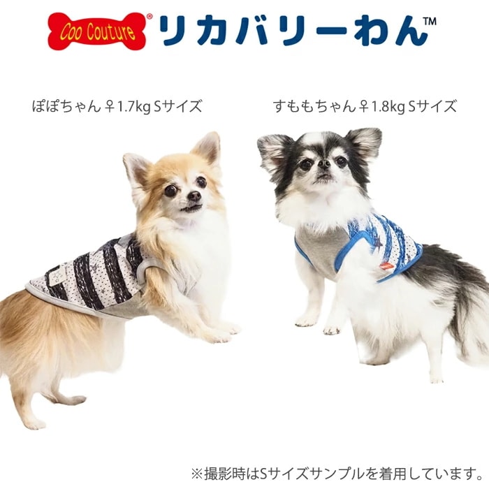 �ƥ饯���롦�ܡ������������٥륯������ ������ ���� ���󥯥ȥåײ��� ������ ���˥��� ������ ���������塼�� �ꥫ�Х꡼������ 1��-2�� 12482 ��T��