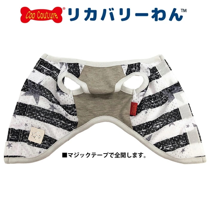 �ƥ饯���롦�ܡ������������٥륯������ ������ ���� ���󥯥ȥåײ��� ������ ���˥��� ������ ���������塼�� �ꥫ�Х꡼������ 1��-2�� 12482 ��T��