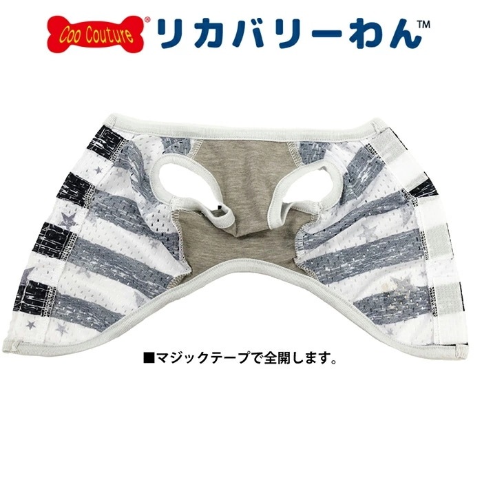 �ƥ饯���롦�ܡ������������٥륯������ ������ ���� ���󥯥ȥåײ��� ������ ���˥��� ������ ���������塼�� �ꥫ�Х꡼������ 1��-2�� 12482 ��T��