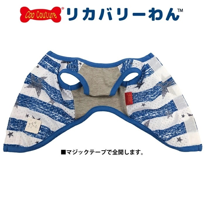 �ƥ饯���롦�ܡ������������٥륯������ ������ ���� ���󥯥ȥåײ��� ������ ���˥��� ������ ���������塼�� �ꥫ�Х꡼������ 1��-2�� 12482 ��T��